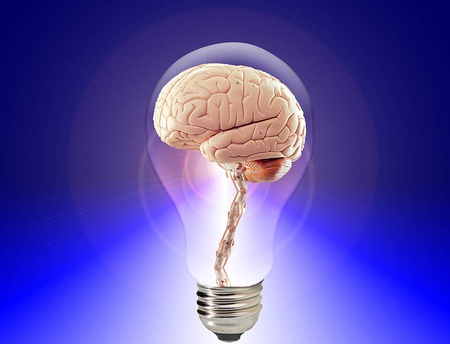 mozek v žárovce