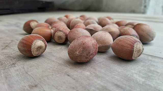 lískové ořechy na stole